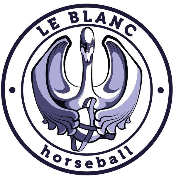 Logo Association blancoise de horse-ball