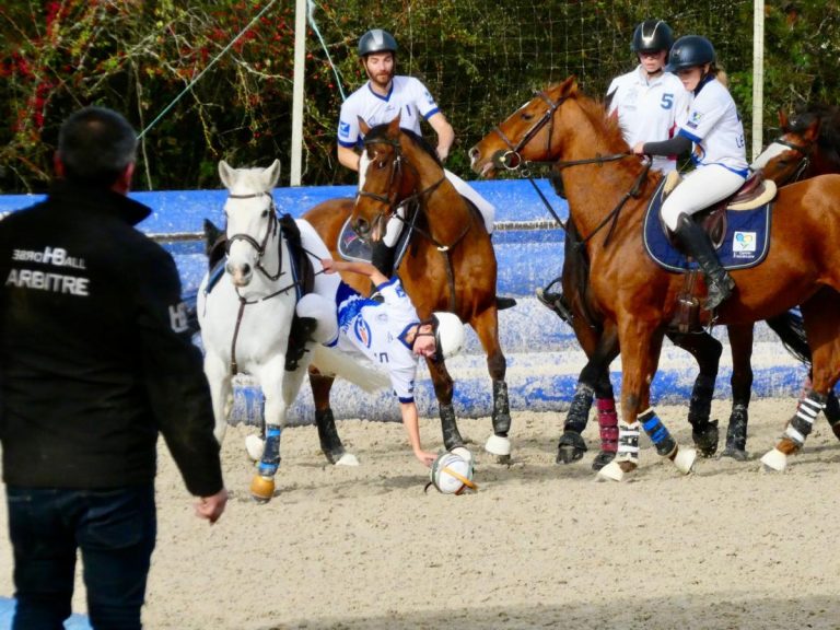 Horse-ball – photo 2 (agrandir)