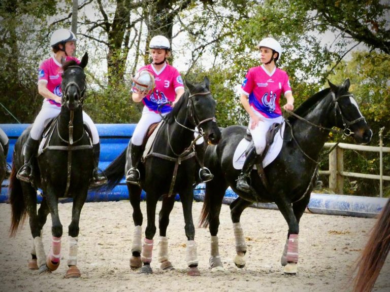 Horse-ball – photo 3 (agrandir)