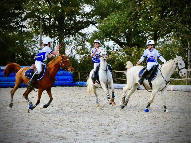 Horse-ball – photo 4 (agrandir)