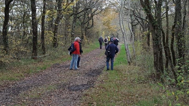 Marche / Randonnée – photo 2 (agrandir)