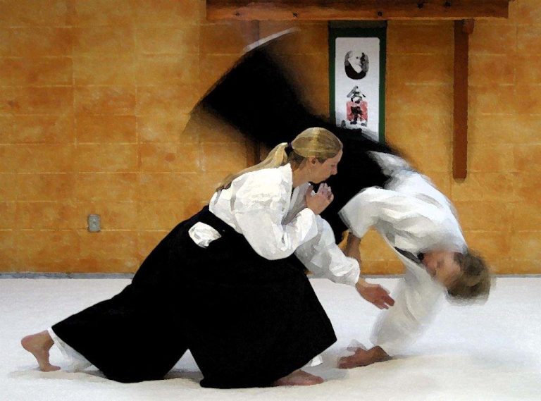 Aïkido – photo 3 (agrandir)