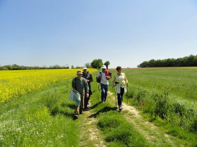 Randonnée pédestre – photo 2 (agrandir)