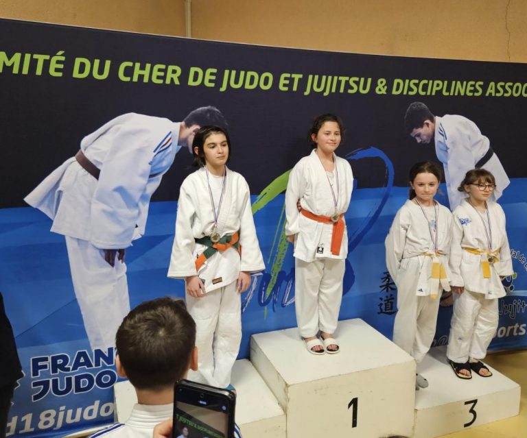 Judo – Jujitsu – Taïso – photo 3 (agrandir)