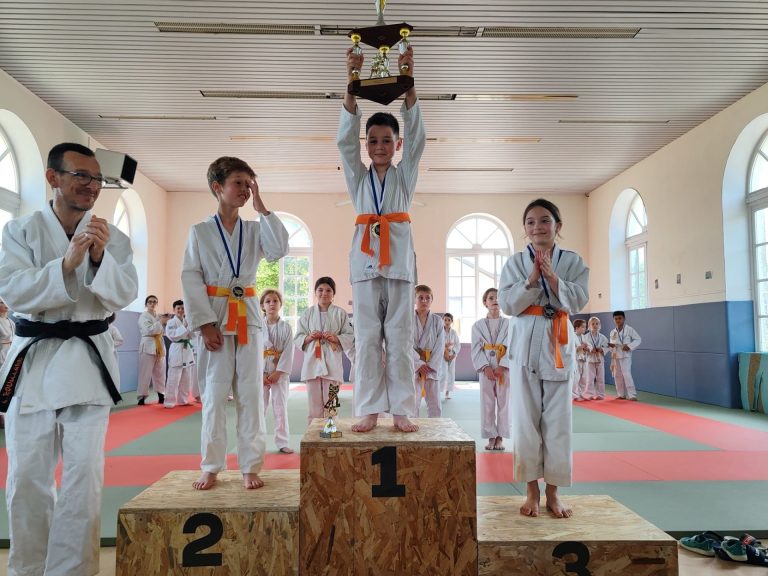 Judo – Jujitsu – Taïso – photo 4 (agrandir)