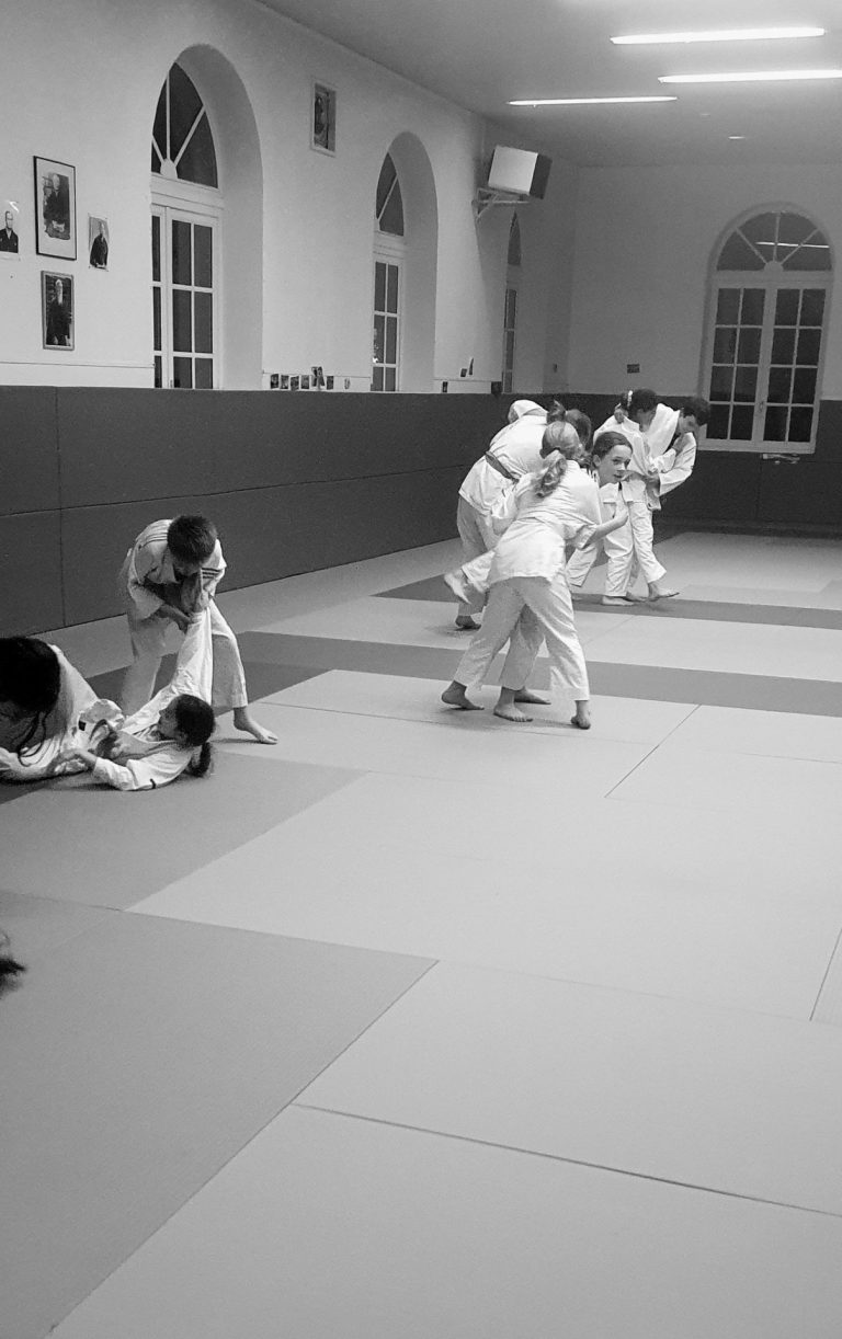 Judo – Jujitsu – Taïso – photo 5 (agrandir)