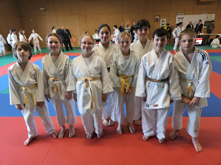 Judo – Jujitsu – Taïso – photo 6 (agrandir)