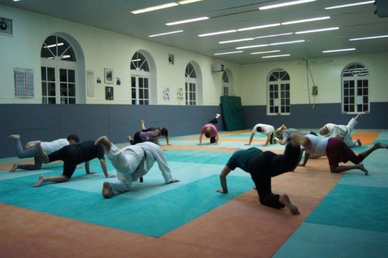 Judo – Jujitsu – Taïso – photo 2 (agrandir)