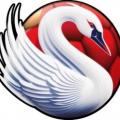 Logo Hand Ball Club Le Blanc