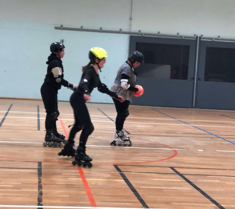 Roller / Roller hockey – photo 1 (agrandir)